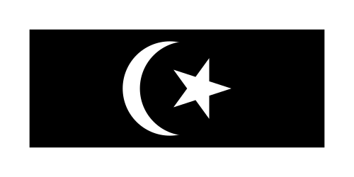 Terengganu Flag